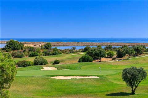 Palmares - Lotes Terreno